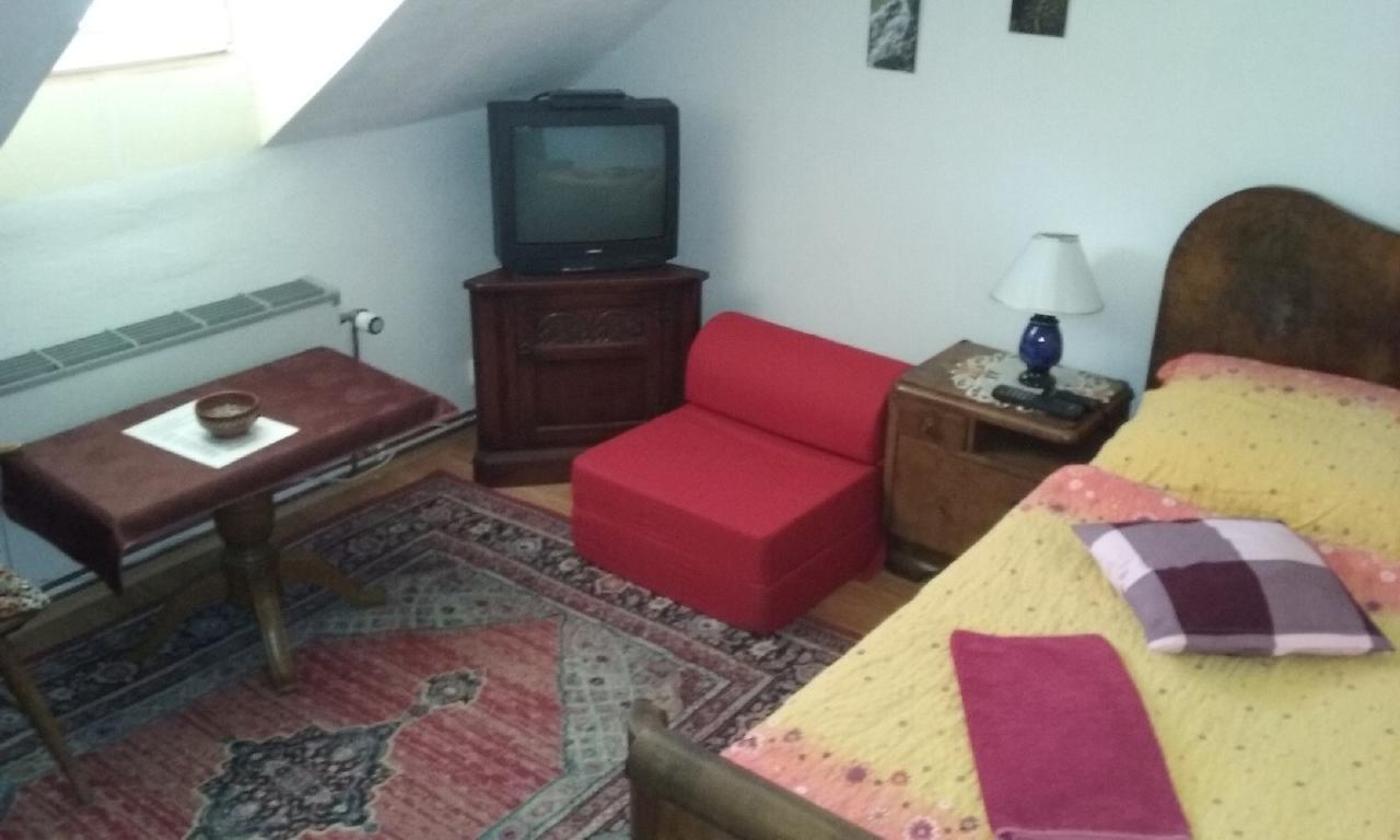 Penzion Hugo Sedlec-Prcice Buitenkant foto