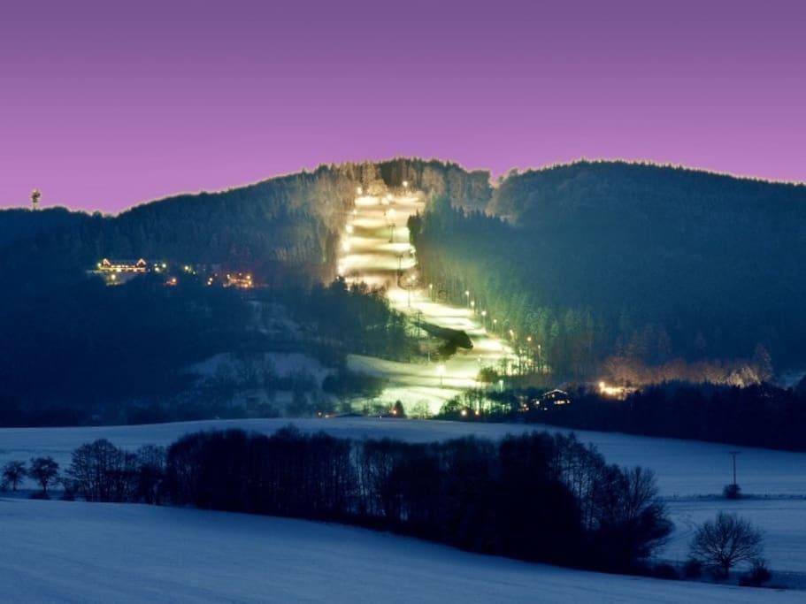 Penzion Hugo Sedlec-Prcice Buitenkant foto