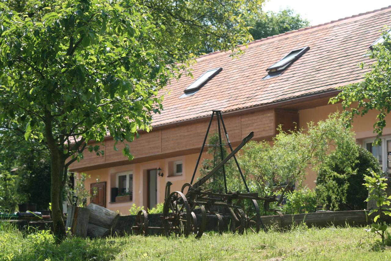 Penzion Hugo Sedlec-Prcice Buitenkant foto