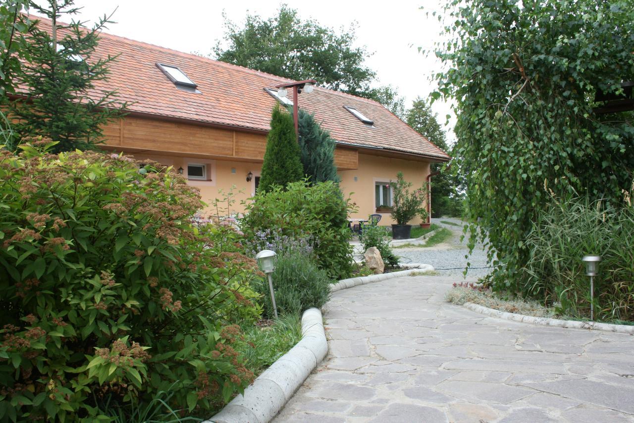 Penzion Hugo Sedlec-Prcice Buitenkant foto
